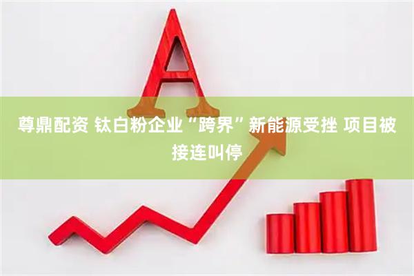 尊鼎配资 钛白粉企业“跨界”新能源受挫 项目被接连叫停